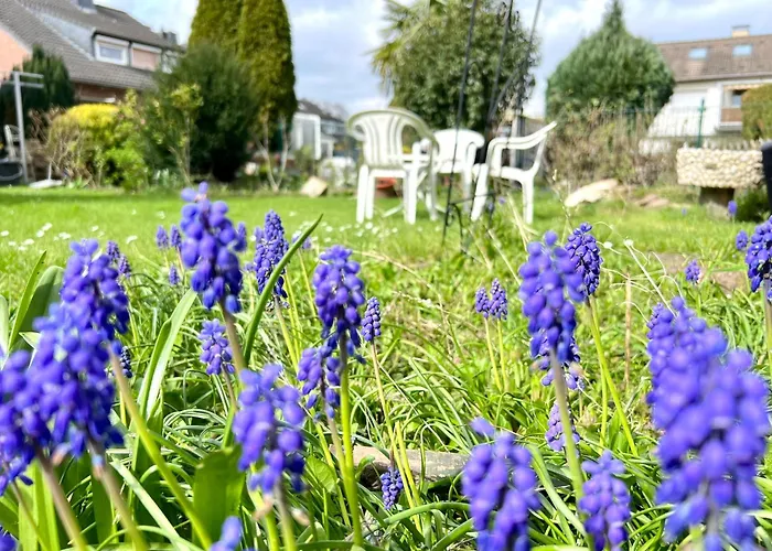 Comfy Mit Garten In Cologne