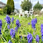 Comfy Mit Garten In Colonia