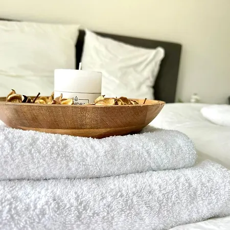 Apartment Comfy Mit Garten In Cologne
